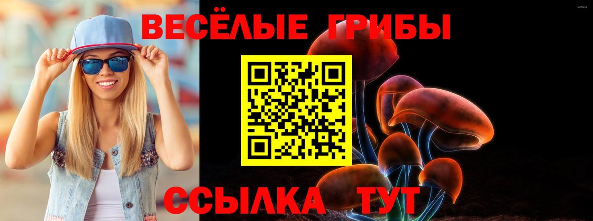 Тула  Галлюциногенные грибы Psilocybe  Вход с VPN 